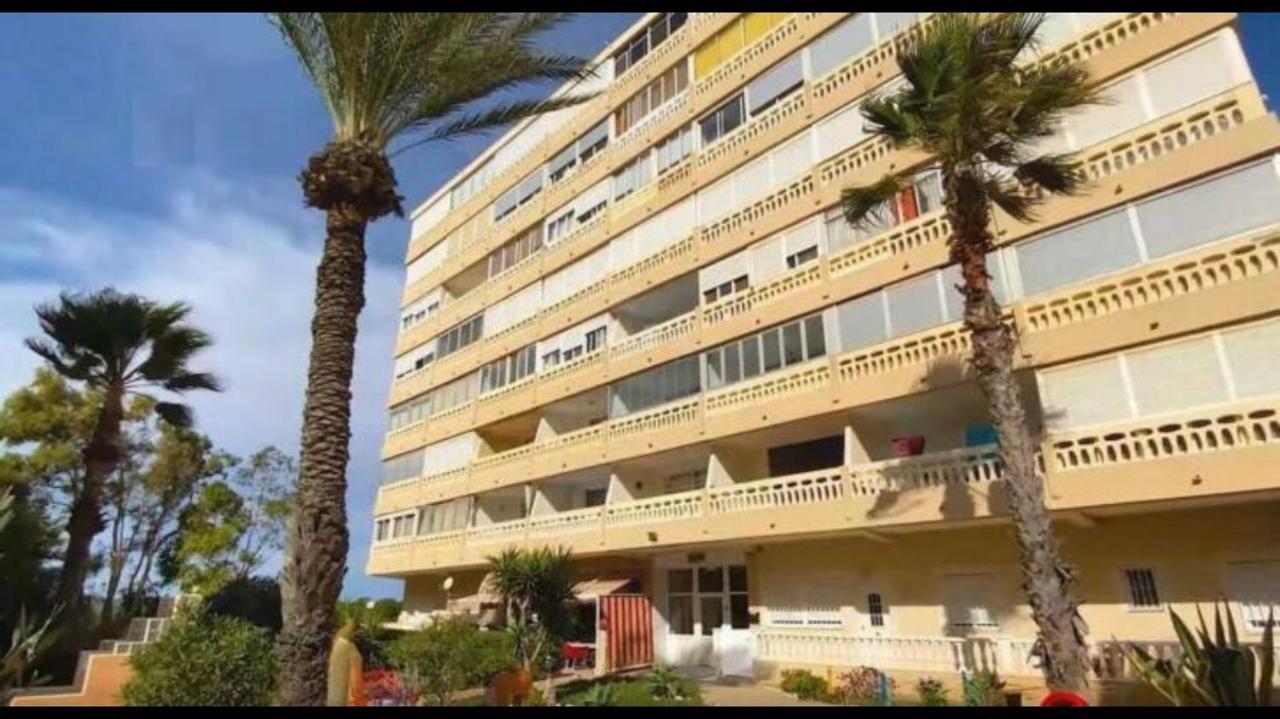 Espacioso Estudio Cerca De La Playa La Mata Ла-Мата Экстерьер фото
